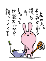 ｱﾔﾅ('∀`$)