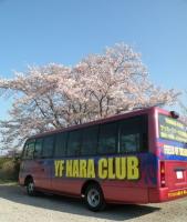 YF NARATESORO