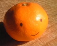norihao