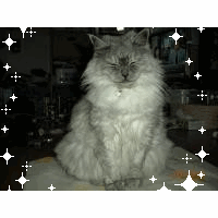 HIROKO