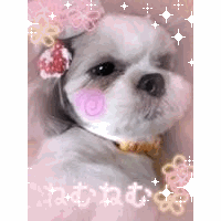 アサキ