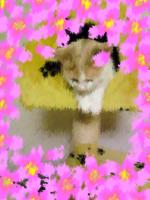 瑠希亜