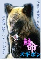 スギポン