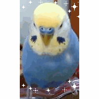 じゅん