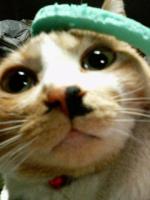 あきちょ