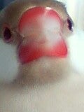 ちっちゃい人